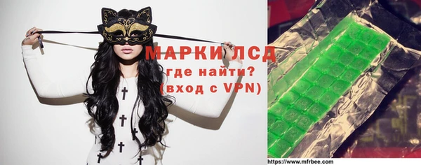 шишки Абаза