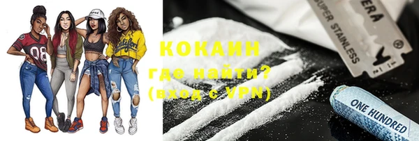 spice Новодвинск