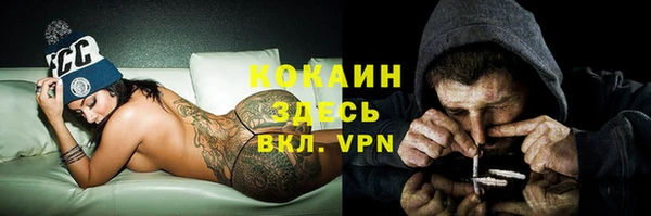 шишки Абаза