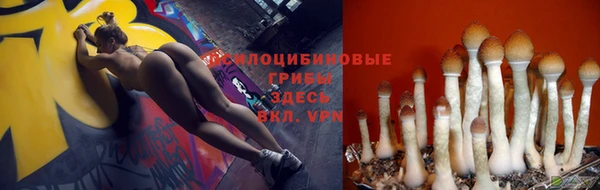 спиды Абинск