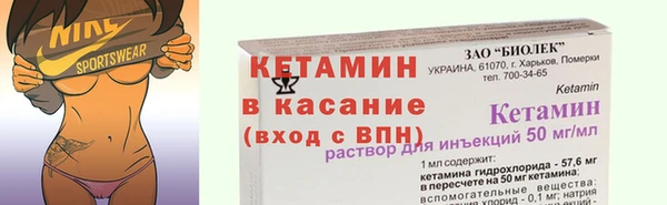шишки Абаза