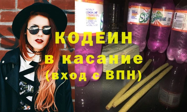 шишки Абаза