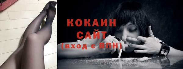 шишки Абаза
