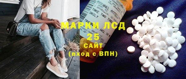 шишки Абаза