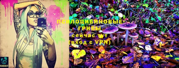 спайс Алзамай