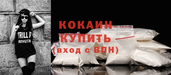 шишки Абаза