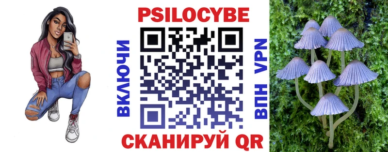Псилоцибиновые грибы GOLDEN TEACHER  блэк спрут как войти  Тайга 